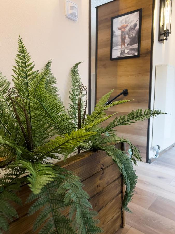 Fewo Ottobeurens Schmuckstueck: Gemuetlich-Stylische Wohnung Eksteriør billede